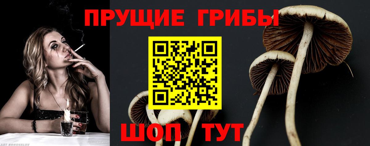 Галлюциногенные грибы ЛСД  Вход с VPN  Белогорск 